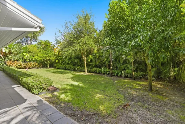 a view of a yard with a tree