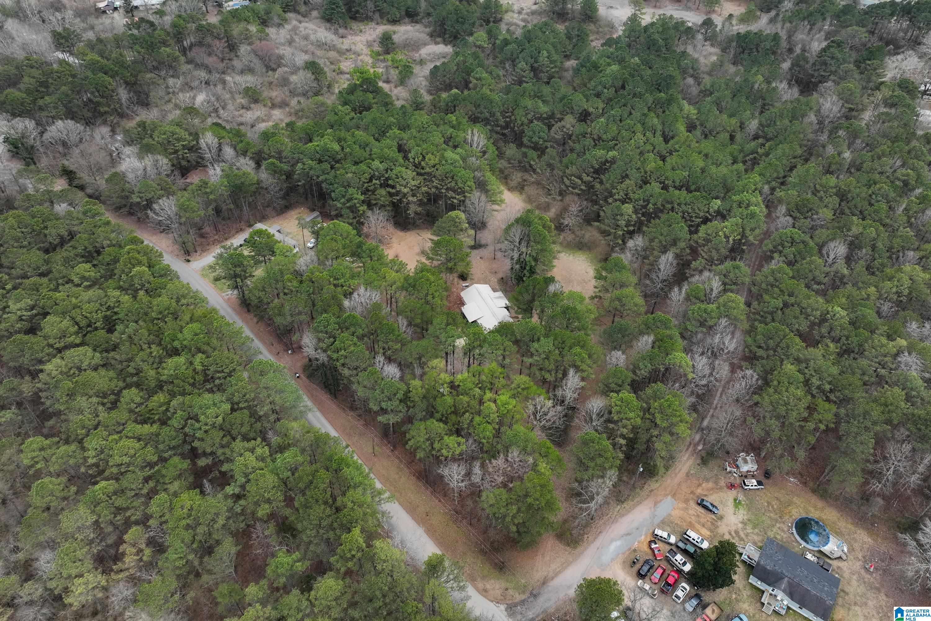 355 Whitlow Road Sumiton, AL 35148 - Photo 55 of 58
