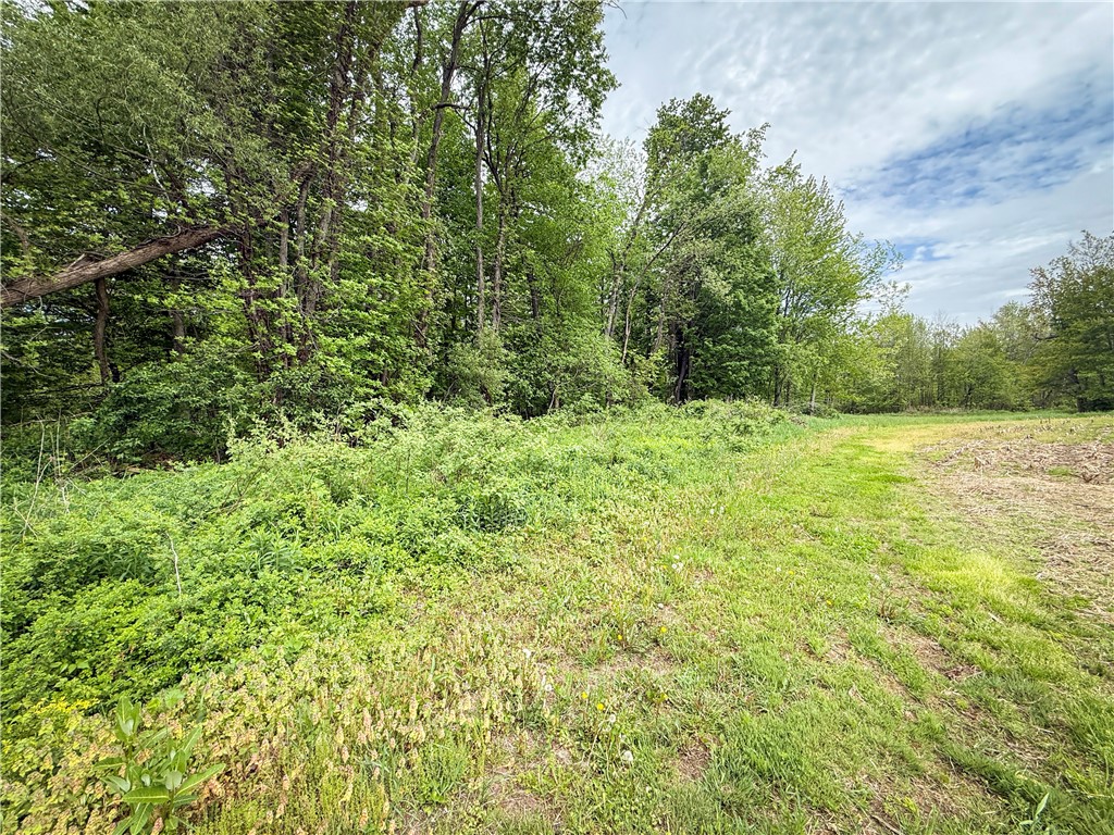 Gifford Road Hannibal, NY 13074 - Photo 12 of 50