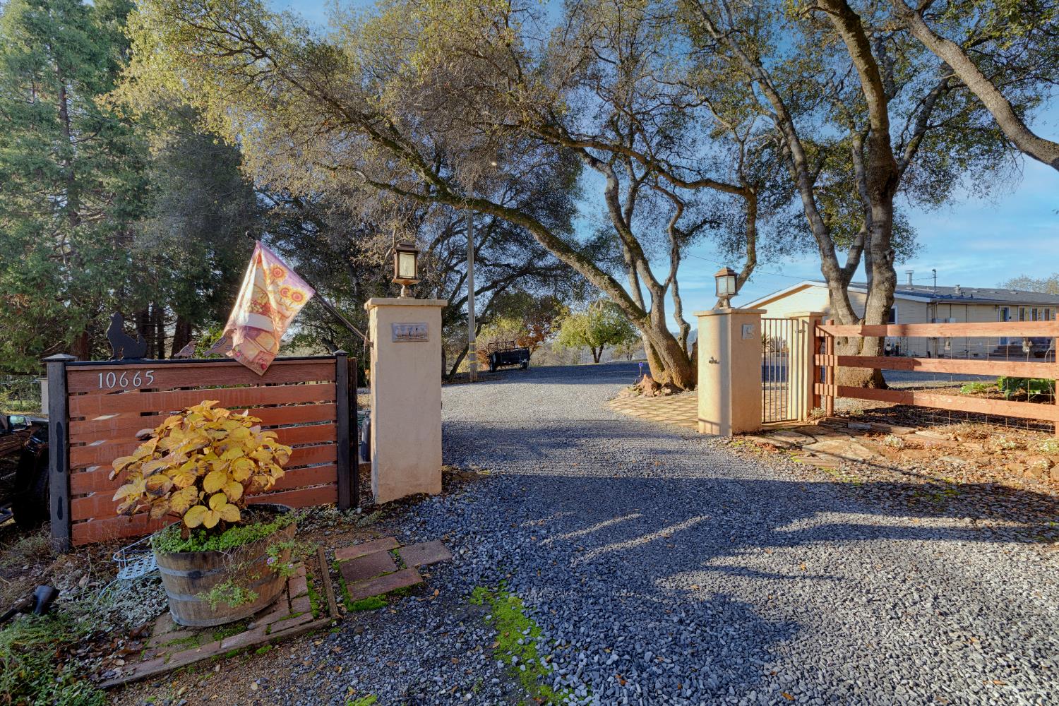 10665 Harris Road Auburn, CA 95603 - Photo 2 of 34 a view of a yard with plants and a large tree