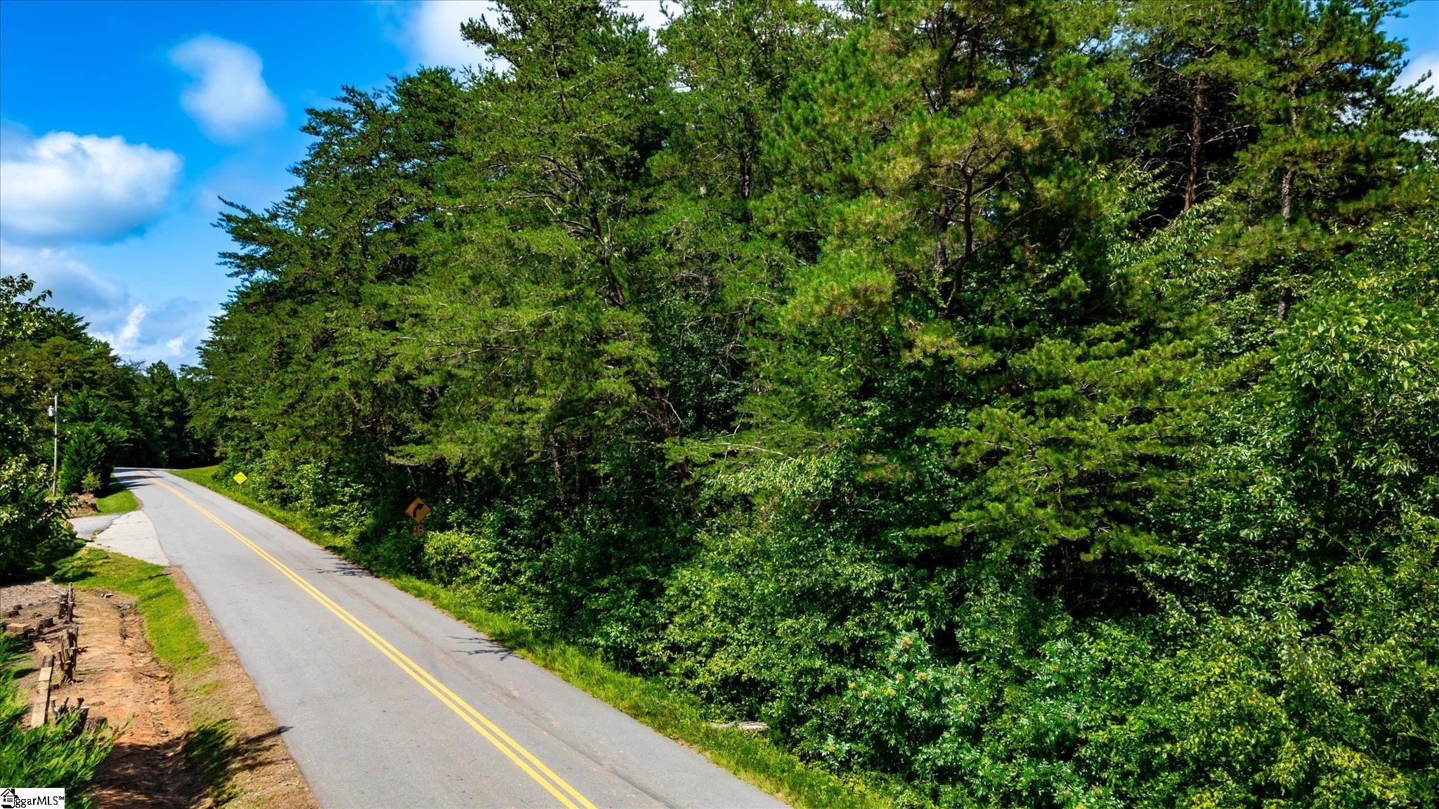 419 Stewart Road Six Mile, SC 29682 - Photo 3 of 9