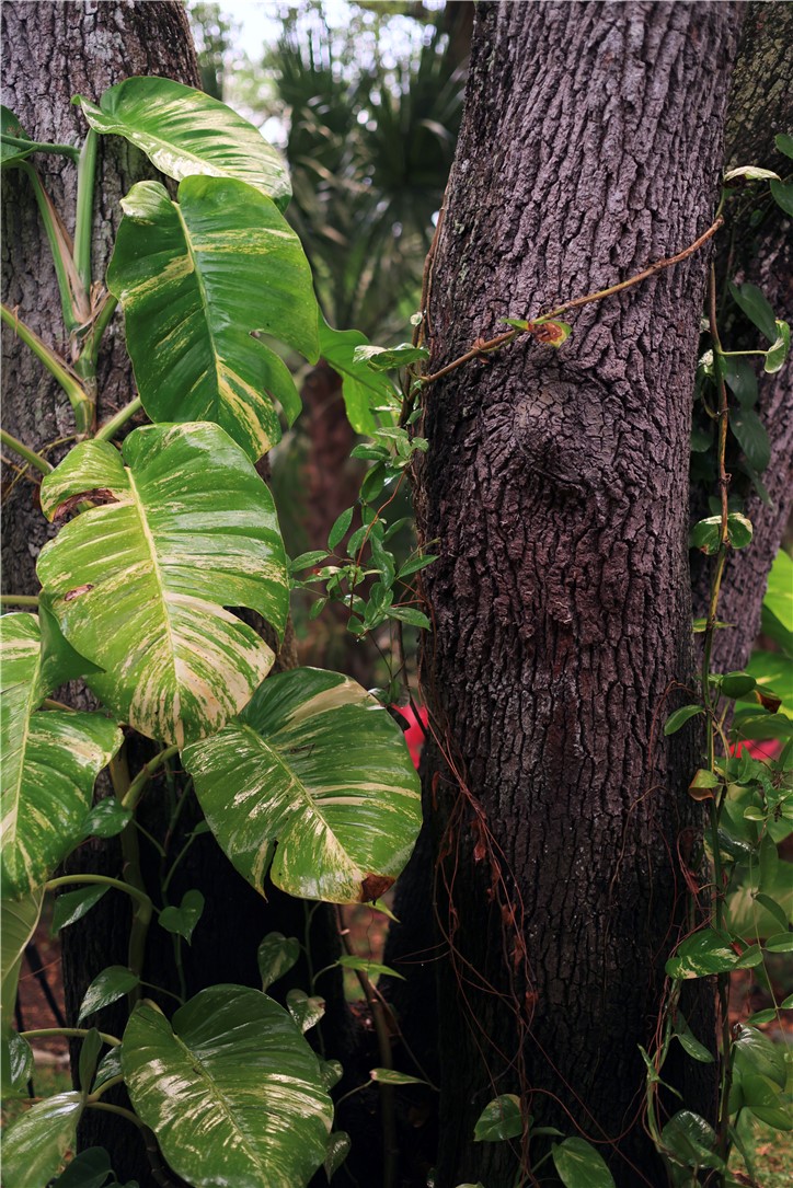 4328 2nd Square Southwest Vero Beach, FL 32968 - Photo 7 of 34