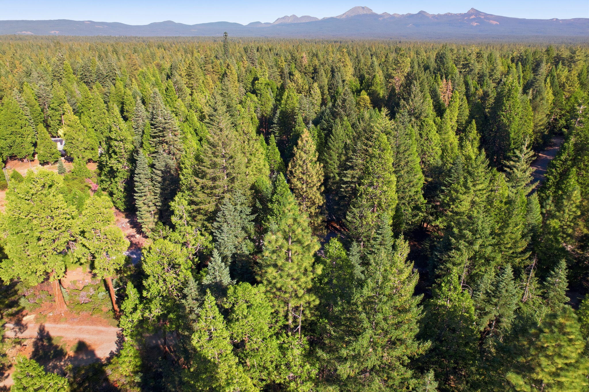 8208 Ritts Mill Road Shingletown, CA 96088 - Photo 50 of 57 51-web-or-mls-BiggerFlow Real Estate Med