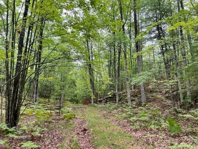 County Road Pembine, WI 54156 - Photo 1 of 20