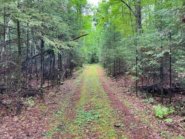 County Road Pembine, WI 54156 - Photo 12 of 20