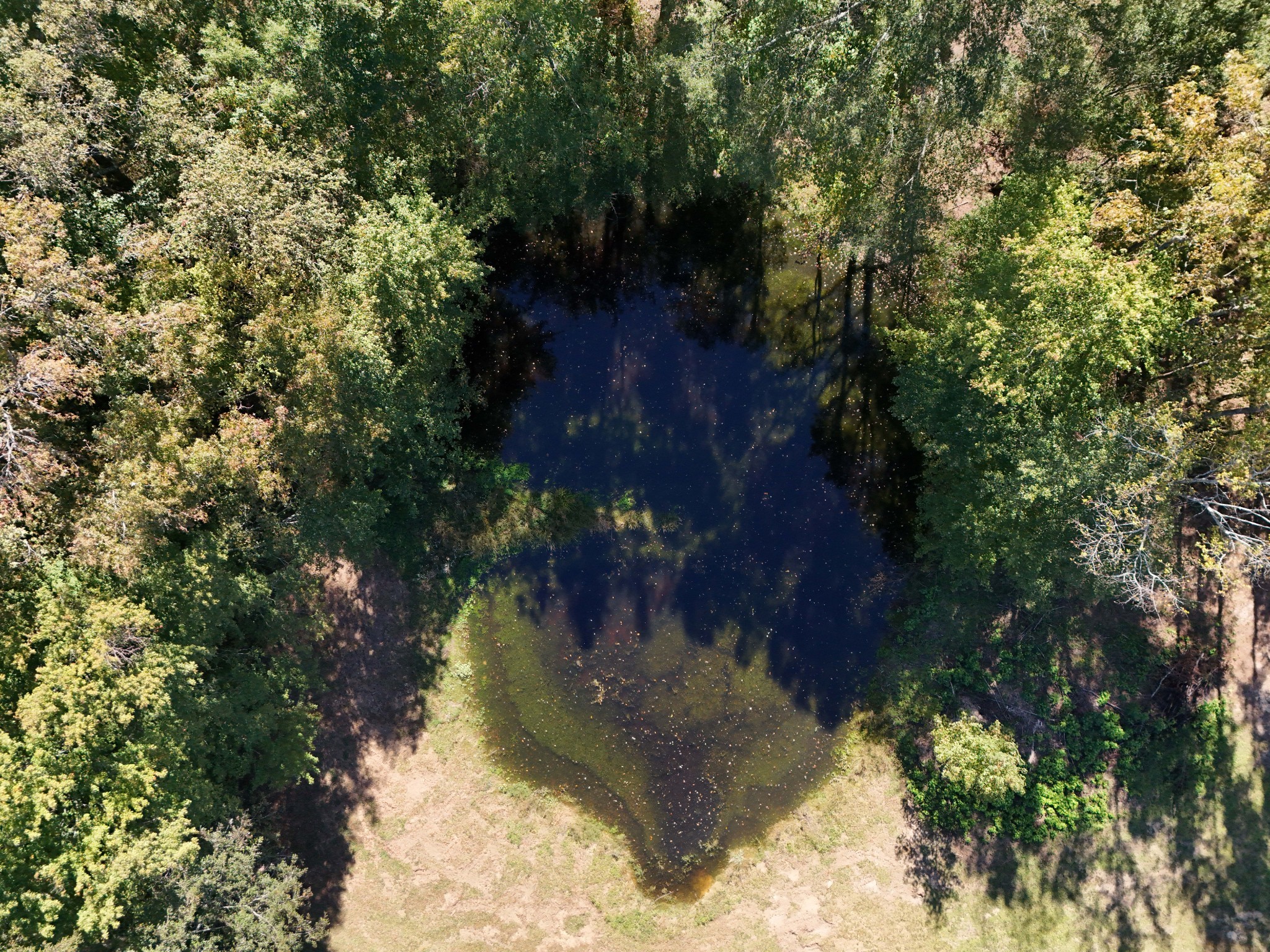 4437 Hickerson Road Manchester, TN 37355 - Photo 21 of 27