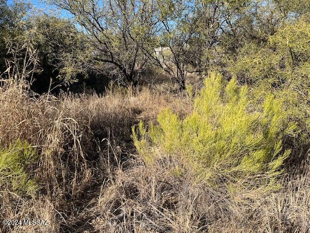 3150 West Rice Road Benson, AZ 85602 - Photo 5 of 7