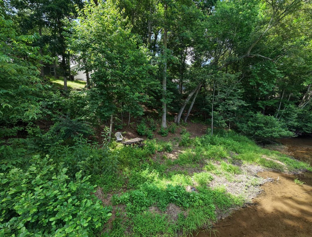 273 Coosa Valley Road Blairsville, GA 30512 - Photo 70 of 76