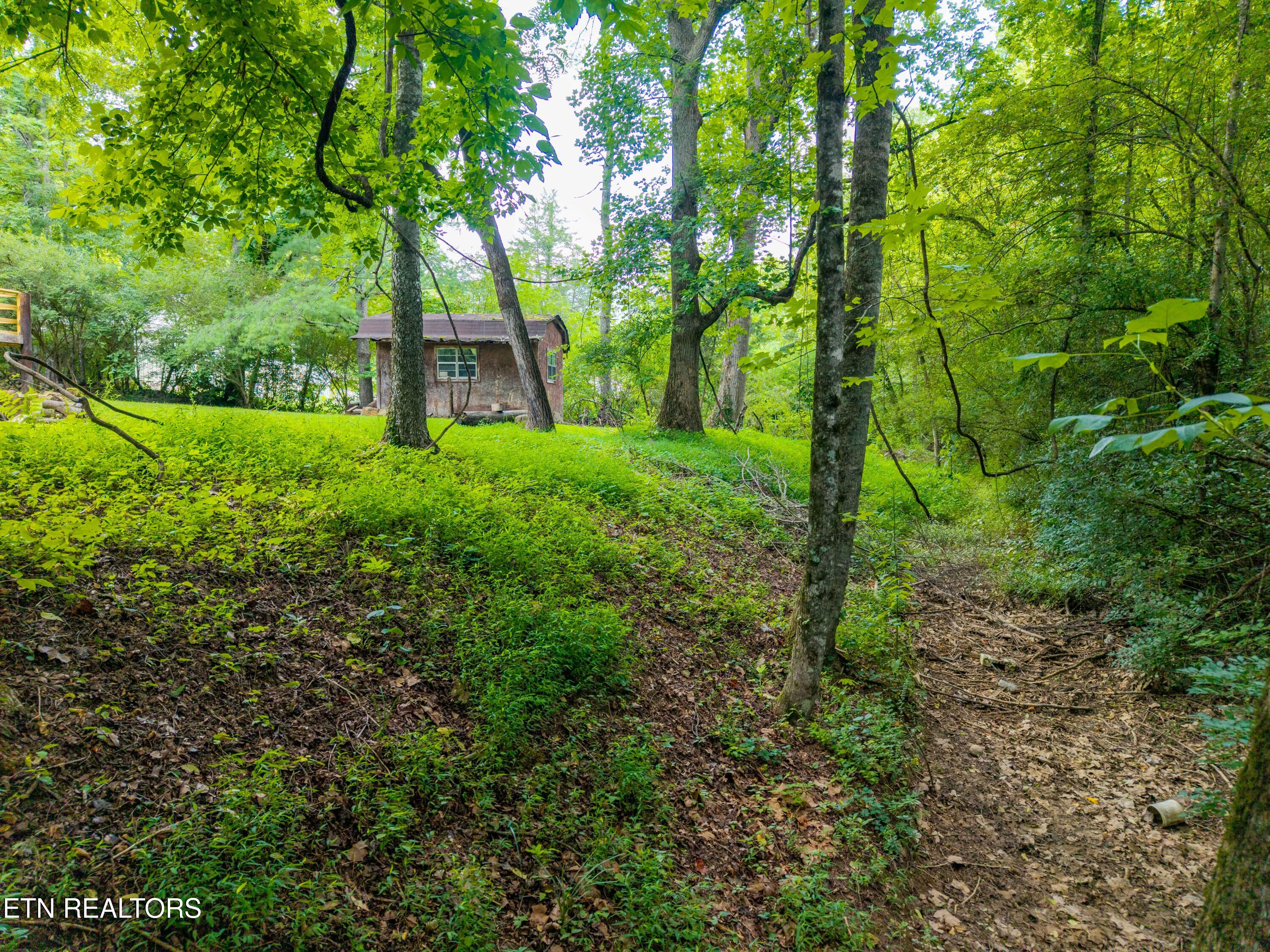 143 Old Cove Road Walland, TN 37886 - Photo 37 of 49 143OldCoveRd-53