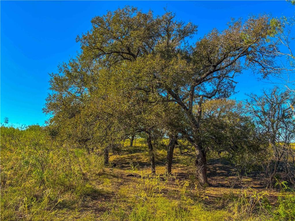 3322 Loop Hubbard Tx 76648 Loop Hubbard, TX 76648 - Photo 24 of 30