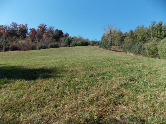 0 Berryhill Road Northwest Riner, VA 24149 - Photo 24 of 33 a view of a grassy field with trees in the background