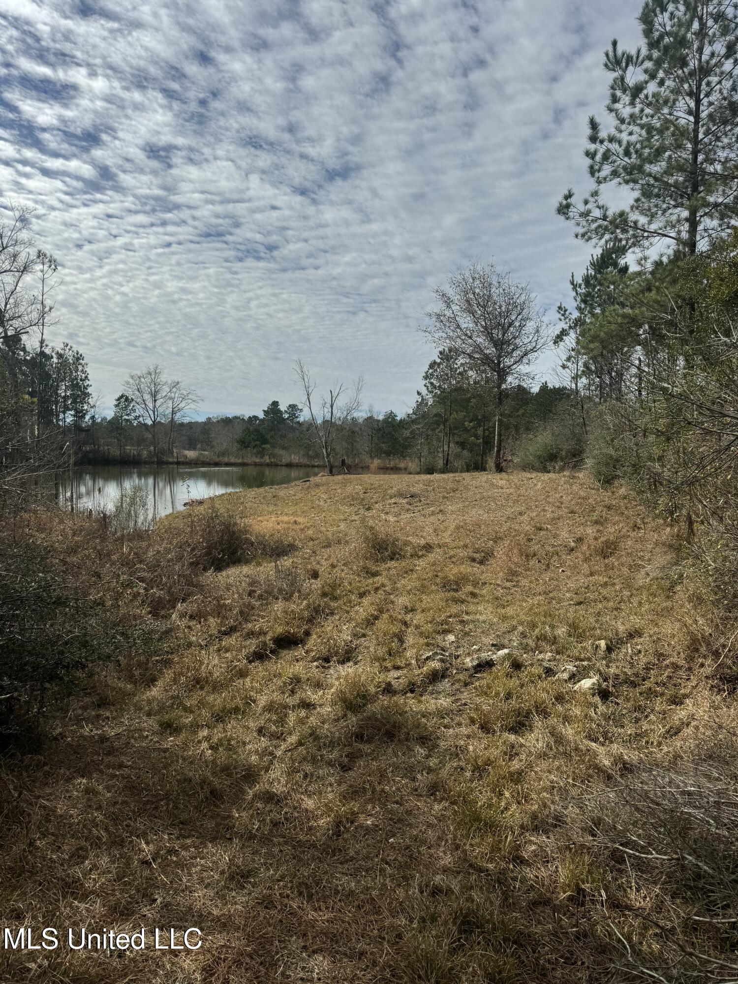 51 L Jack Stewart Road Poplarville, MS 39470 - Photo 11 of 17 IMG_0648