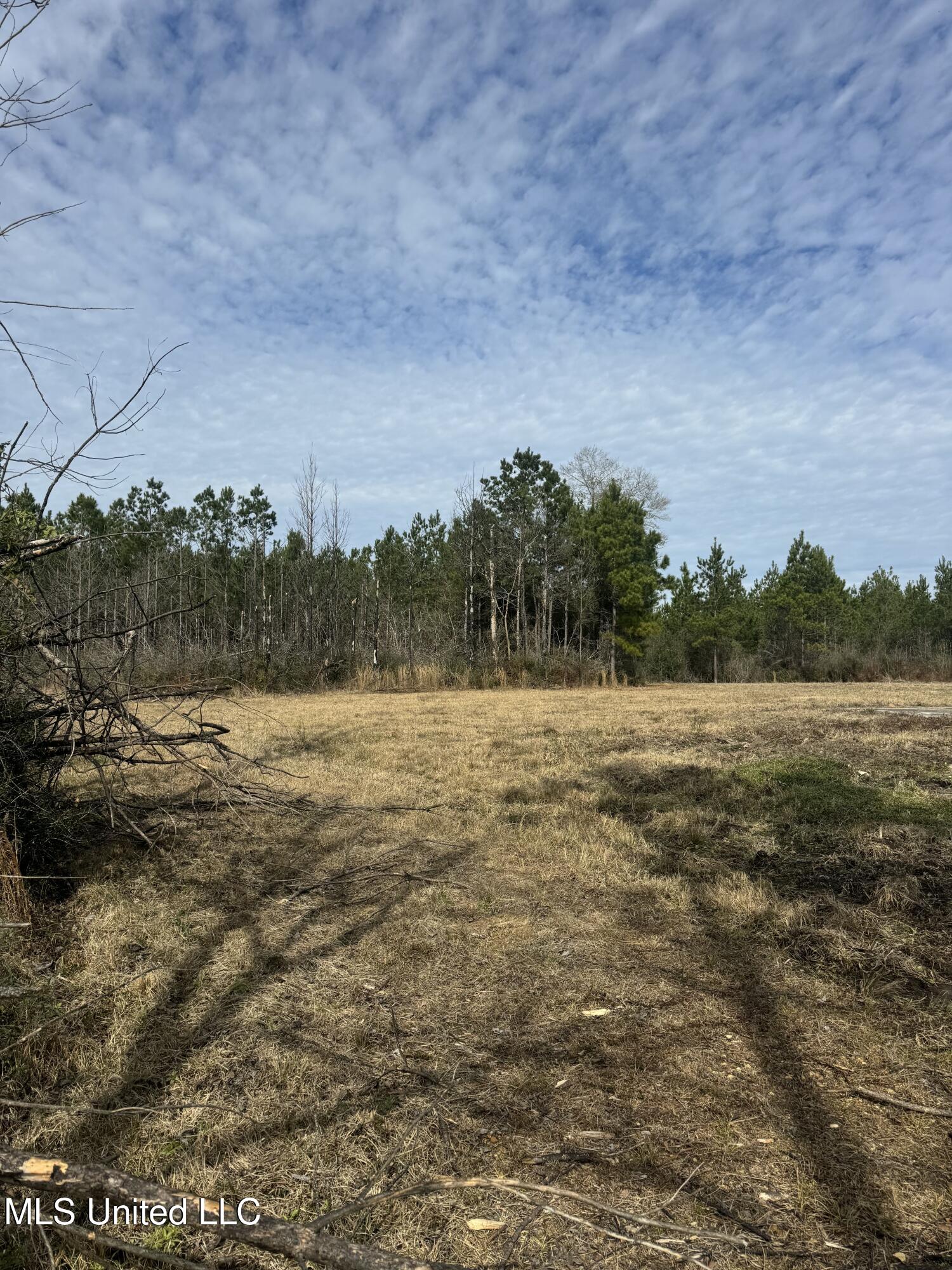 51 L Jack Stewart Road Poplarville, MS 39470 - Photo 11 of 28 IMG_0647