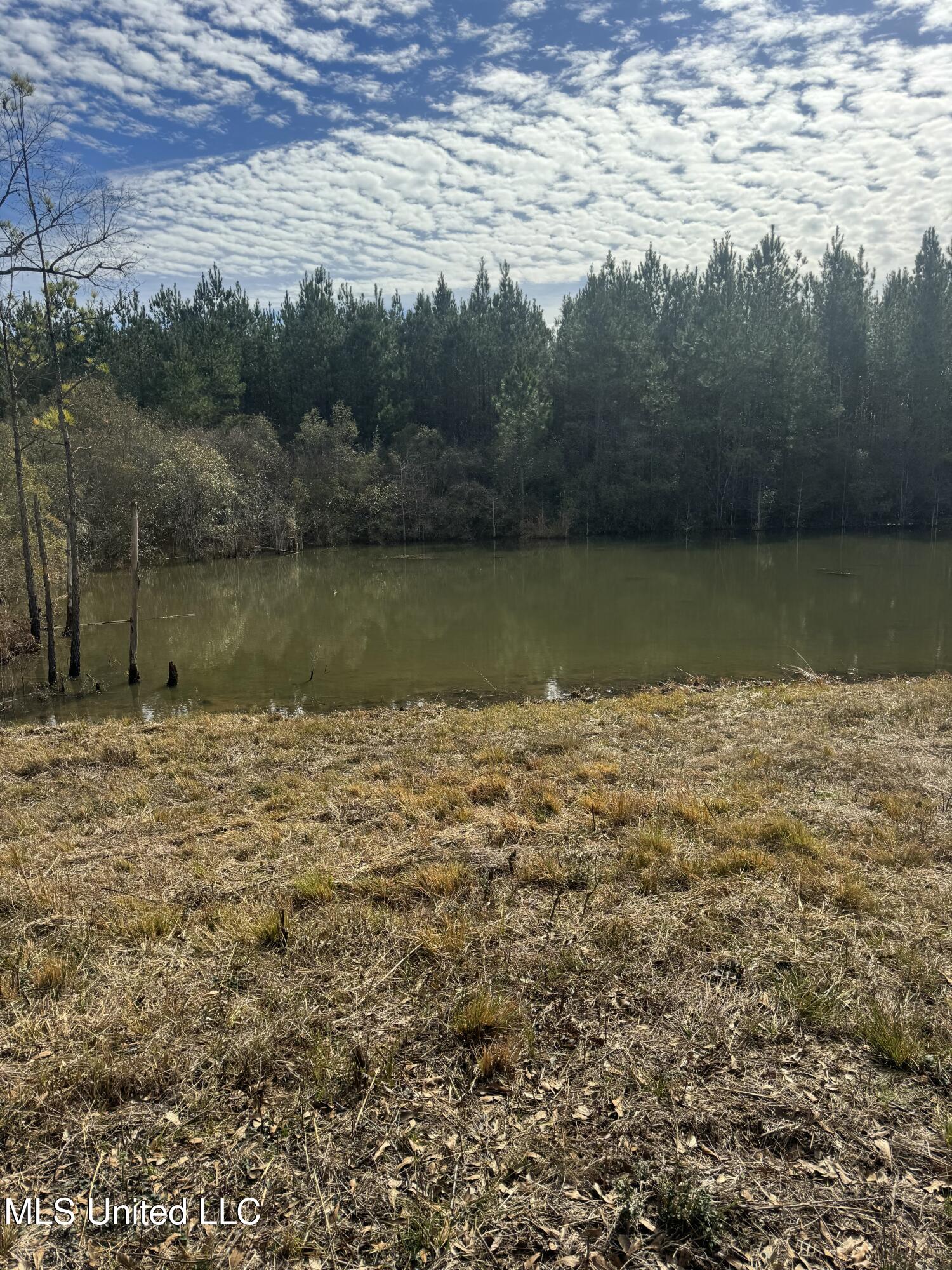 51 L Jack Stewart Road Poplarville, MS 39470 - Photo 13 of 28 IMG_0649