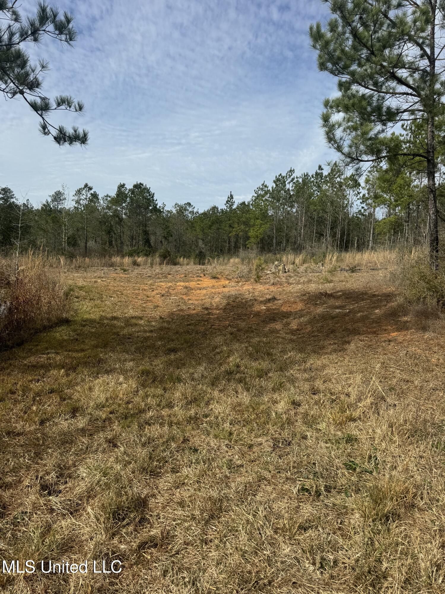 51 L Jack Stewart Road Poplarville, MS 39470 - Photo 14 of 28 IMG_0650