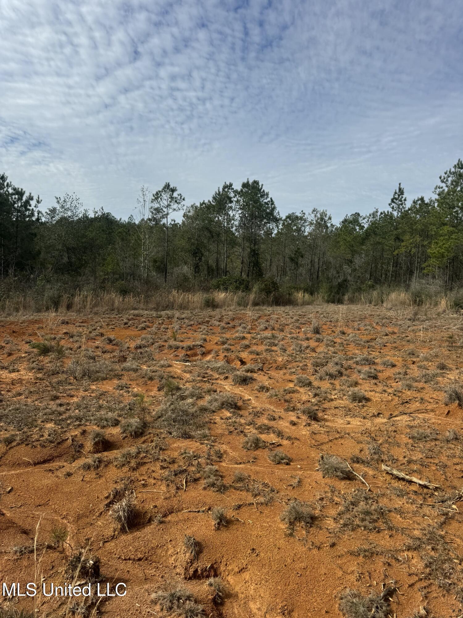 51 L Jack Stewart Road Poplarville, MS 39470 - Photo 15 of 28 IMG_0651