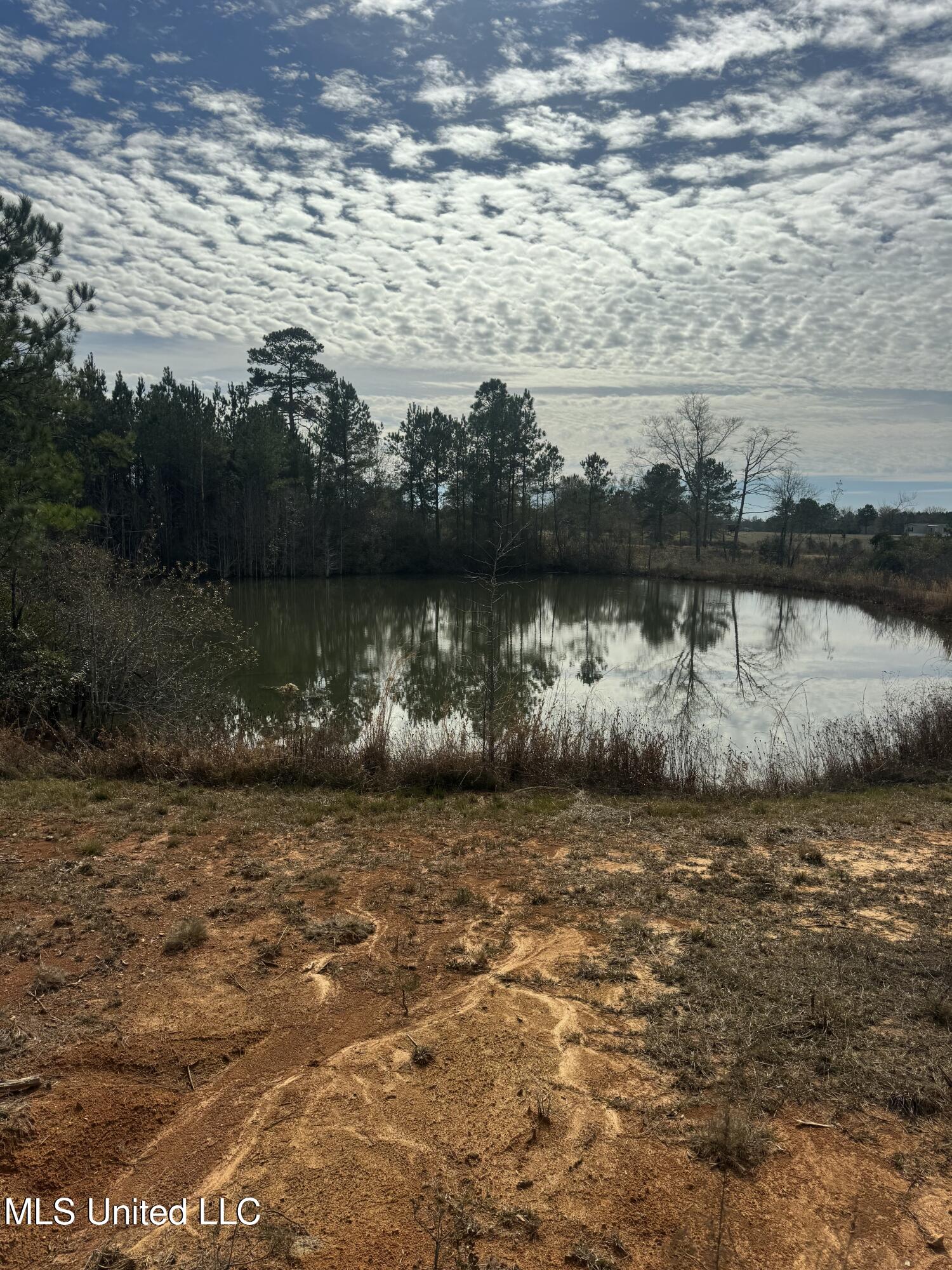 51 L Jack Stewart Road Poplarville, MS 39470 - Photo 15 of 17 IMG_0652