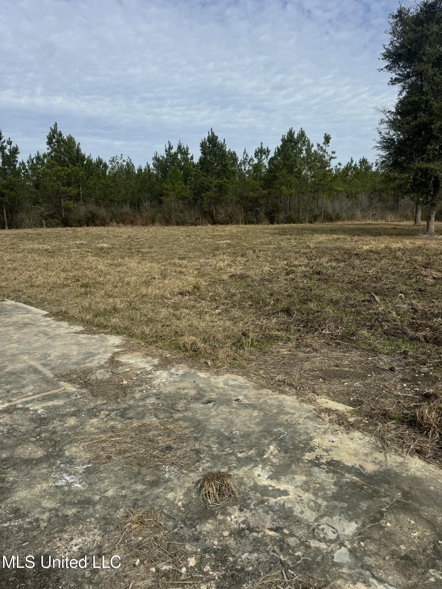 51 L Jack Stewart Road Poplarville, MS 39470 - Photo 16 of 17 IMG_0653