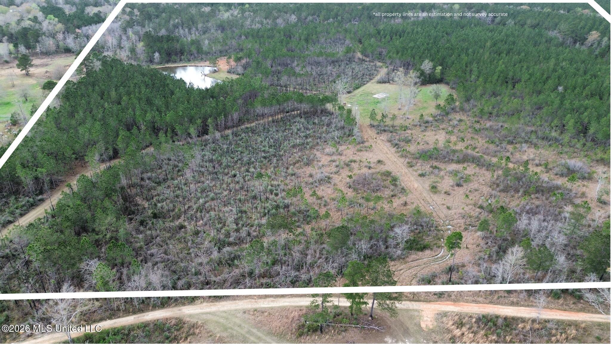 51 L Jack Stewart Road Poplarville, MS 39470 - Photo 19 of 28 estimated property lines