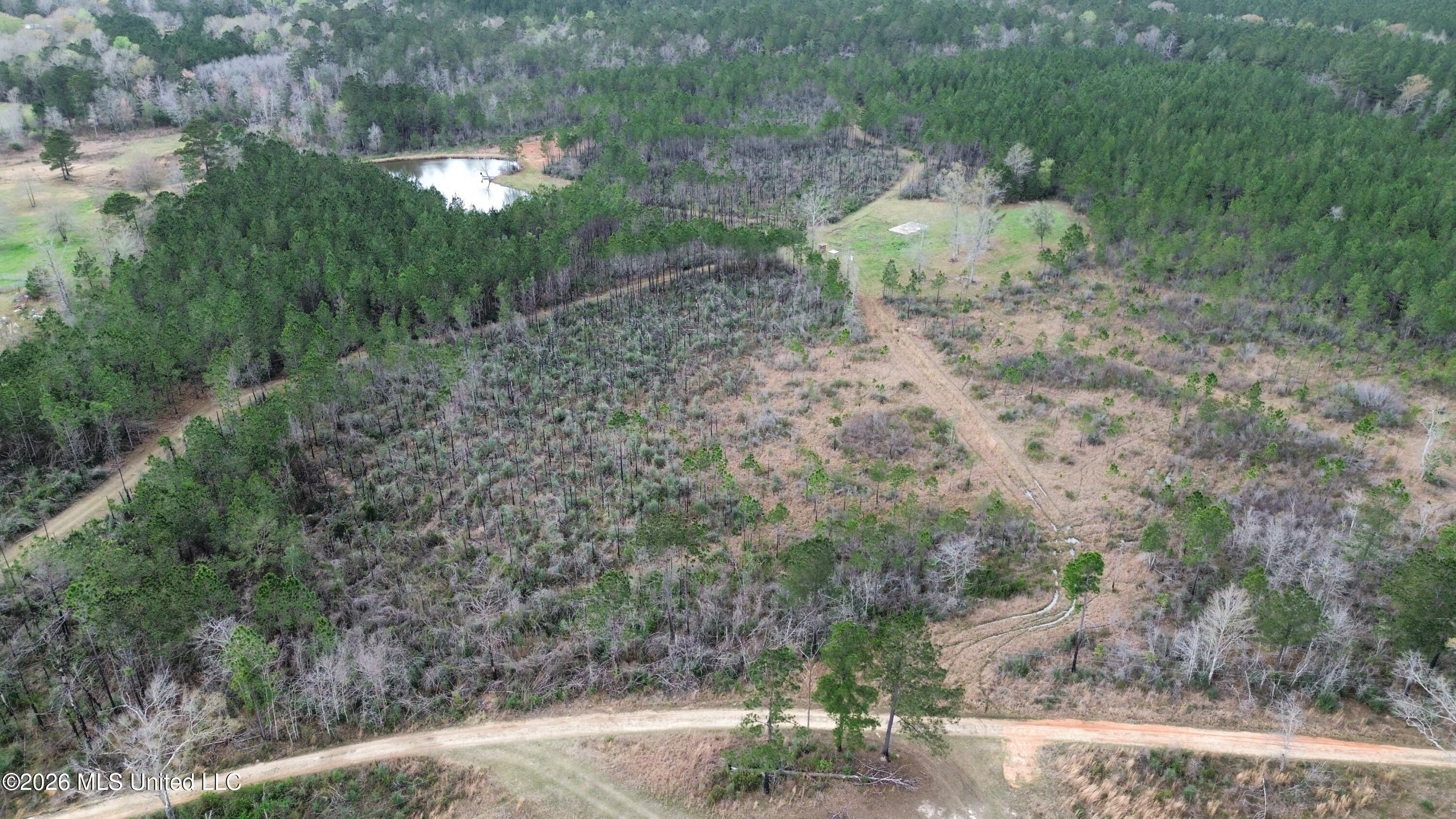 51 L Jack Stewart Road Poplarville, MS 39470 - Photo 28 of 28 drone
