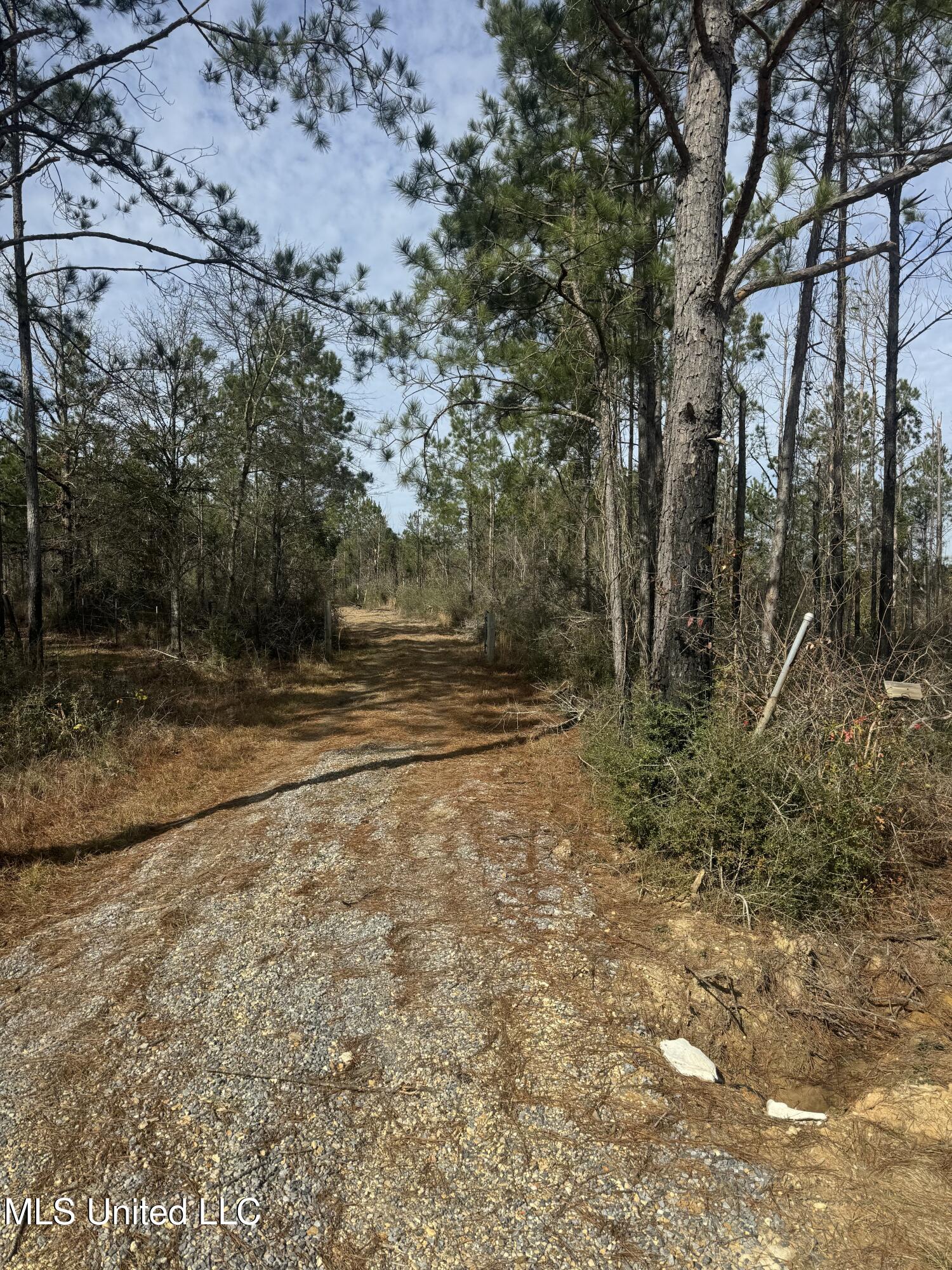 51 L Jack Stewart Road Poplarville, MS 39470 - Photo 3 of 17 Entrance to Property from Deeded Road