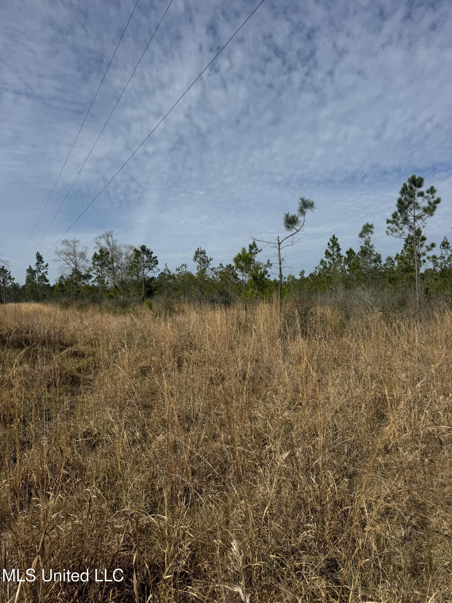 51 L Jack Stewart Road Poplarville, MS 39470 - Photo 4 of 17 IMG_0640