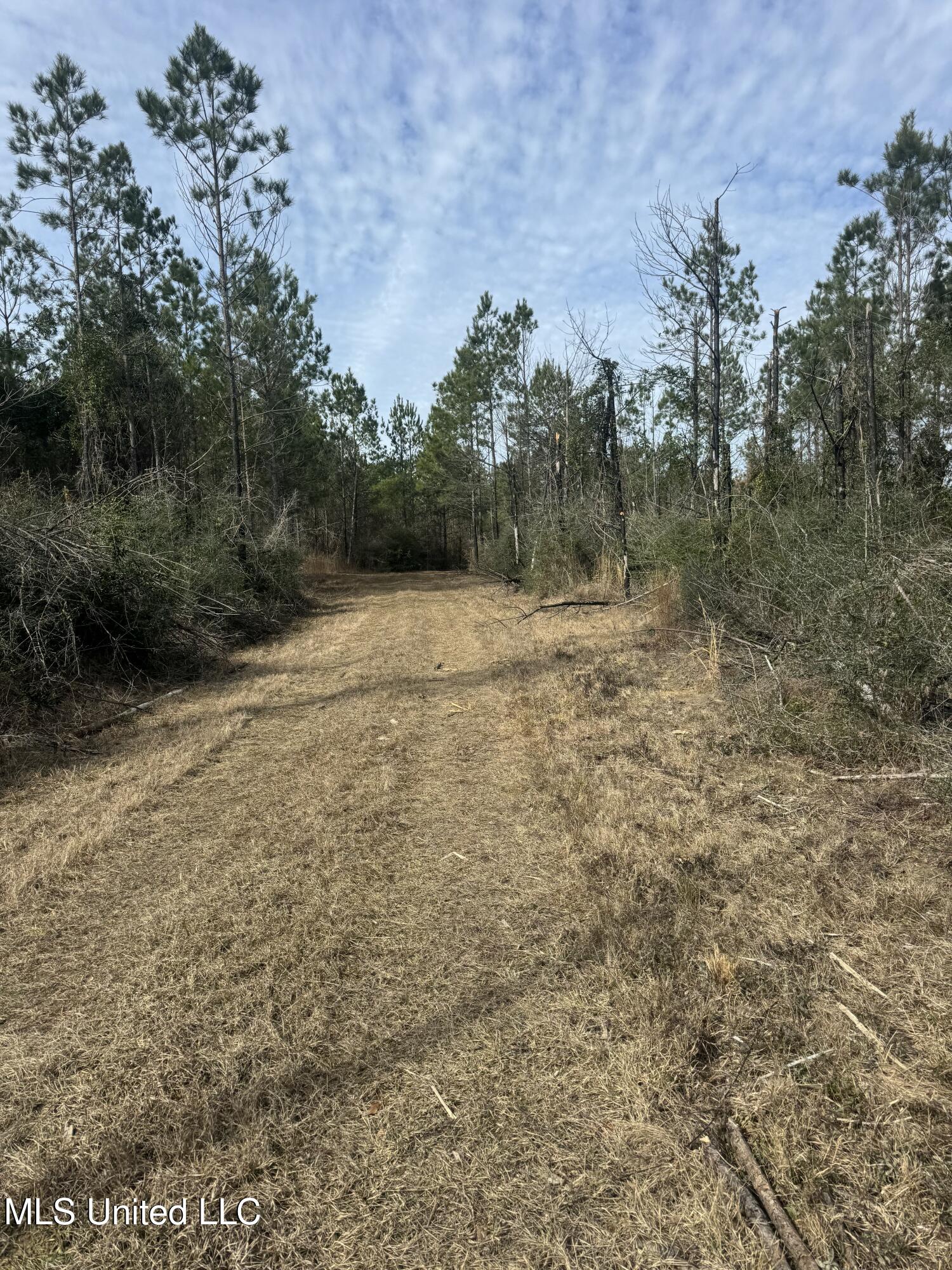 51 L Jack Stewart Road Poplarville, MS 39470 - Photo 6 of 17 IMG_0642