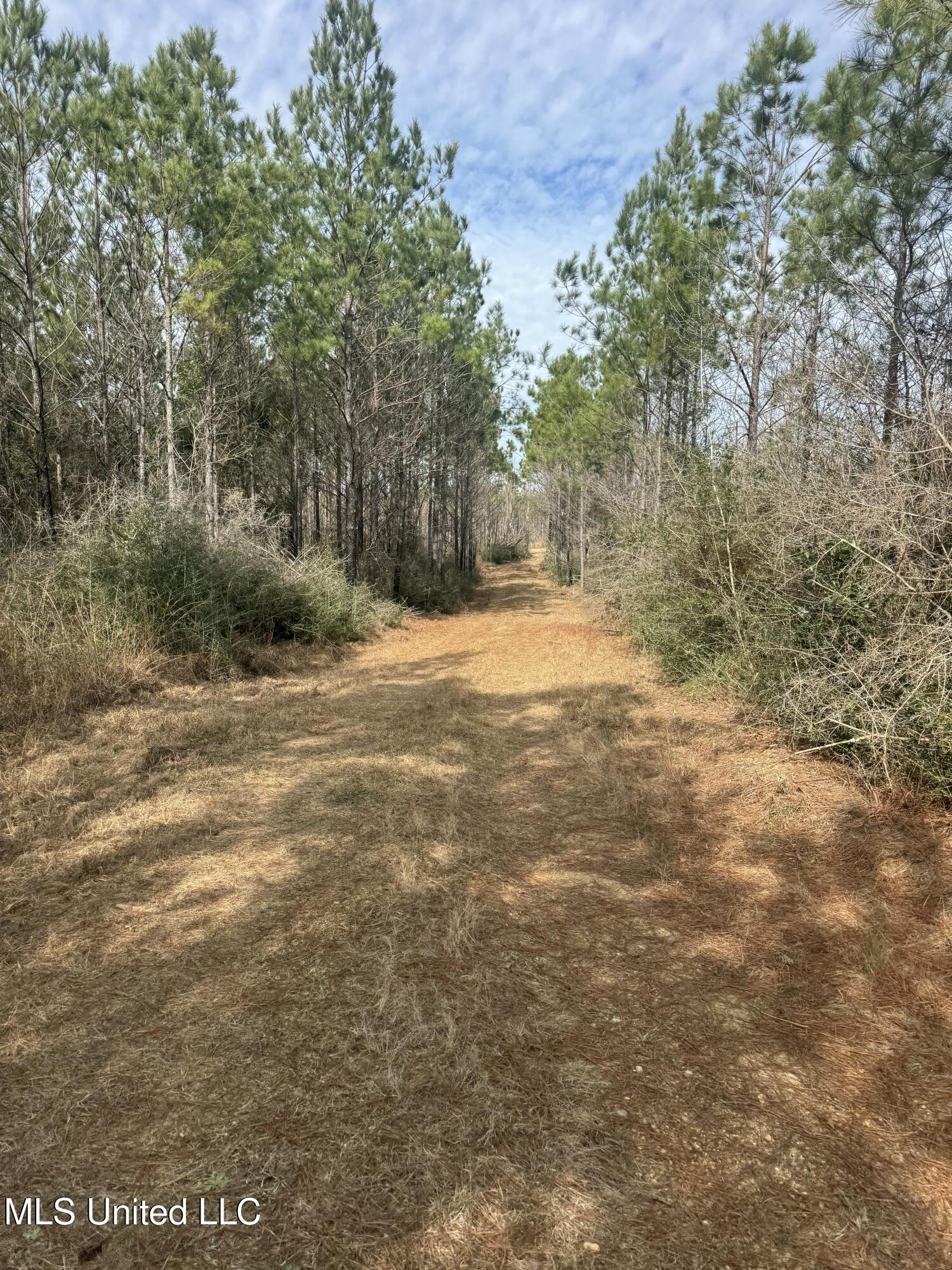 51 L Jack Stewart Road Poplarville, MS 39470 - Photo 8 of 28 IMG_0643