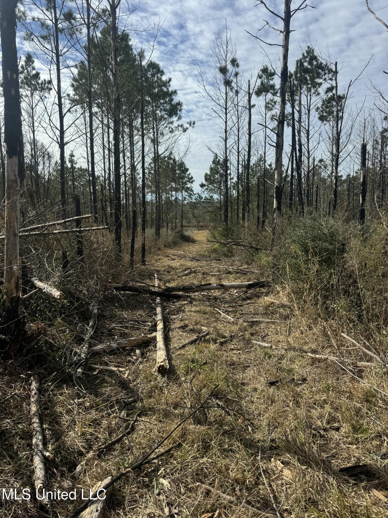 51 L Jack Stewart Road Poplarville, MS 39470 - Photo 8 of 17 IMG_0644