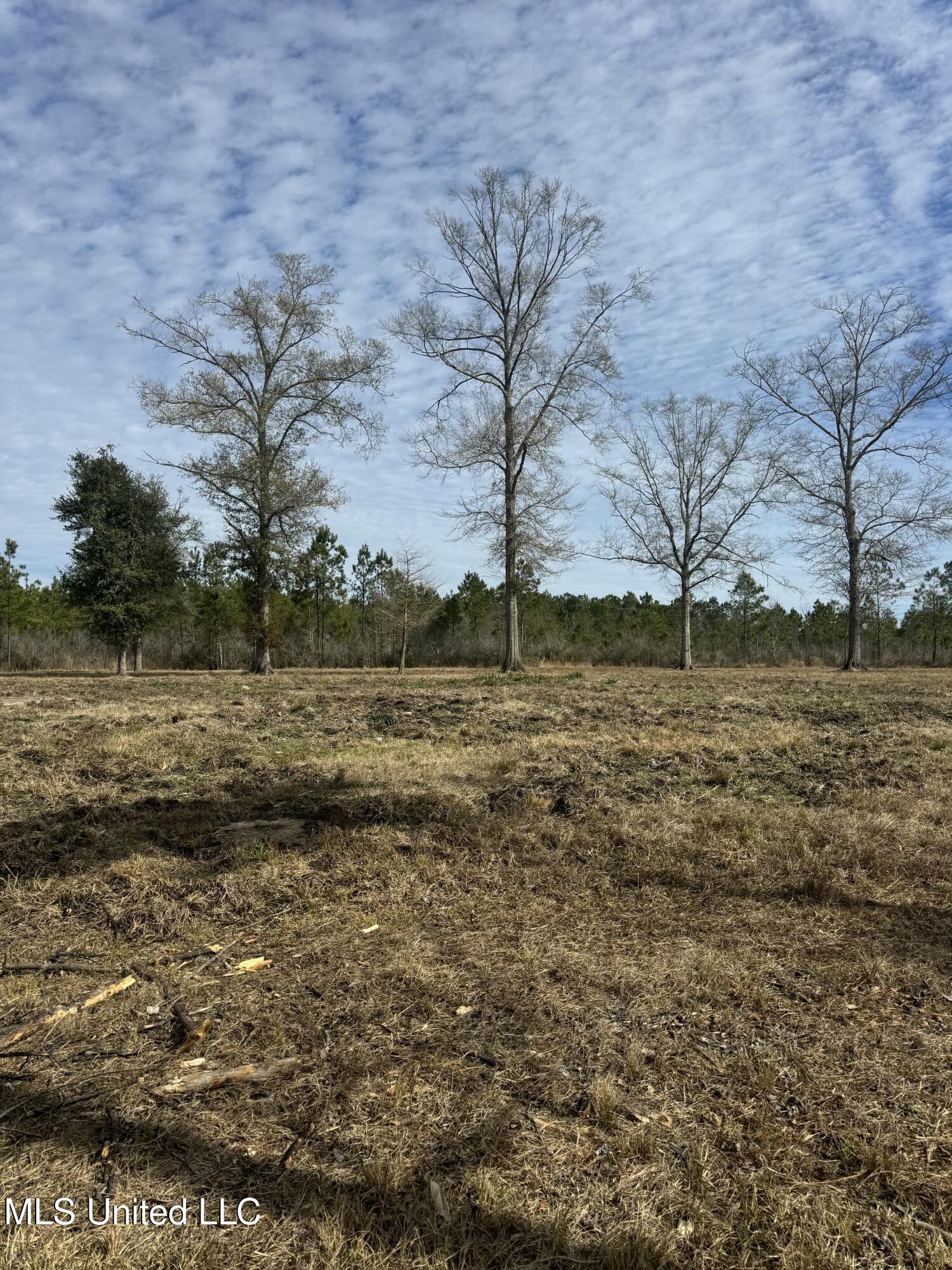 51 L Jack Stewart Road Poplarville, MS 39470 - Photo 10 of 28 IMG_0646