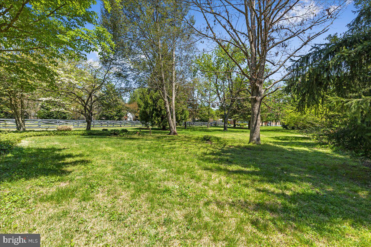 6912 Highbridge Road Bowie, MD 20720 - Photo 32 of 42 Large Front yard