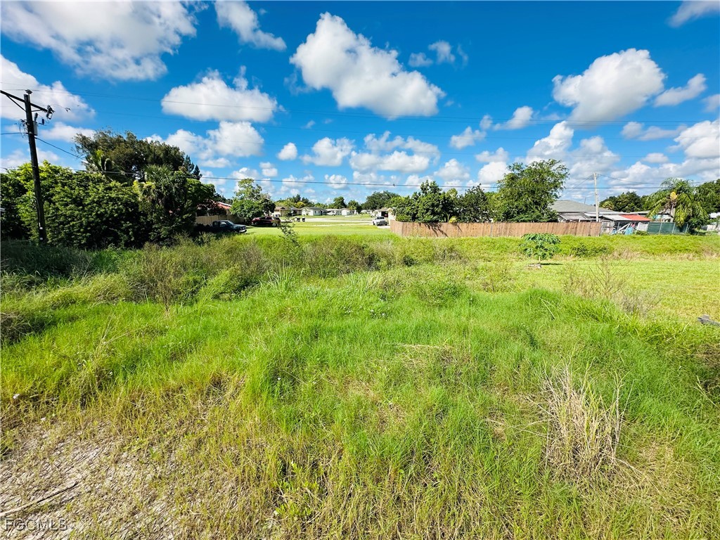 111 Connecticut Road Lehigh Acres, FL 33936 - Photo 7 of 8 a view of a bunch of trees in background