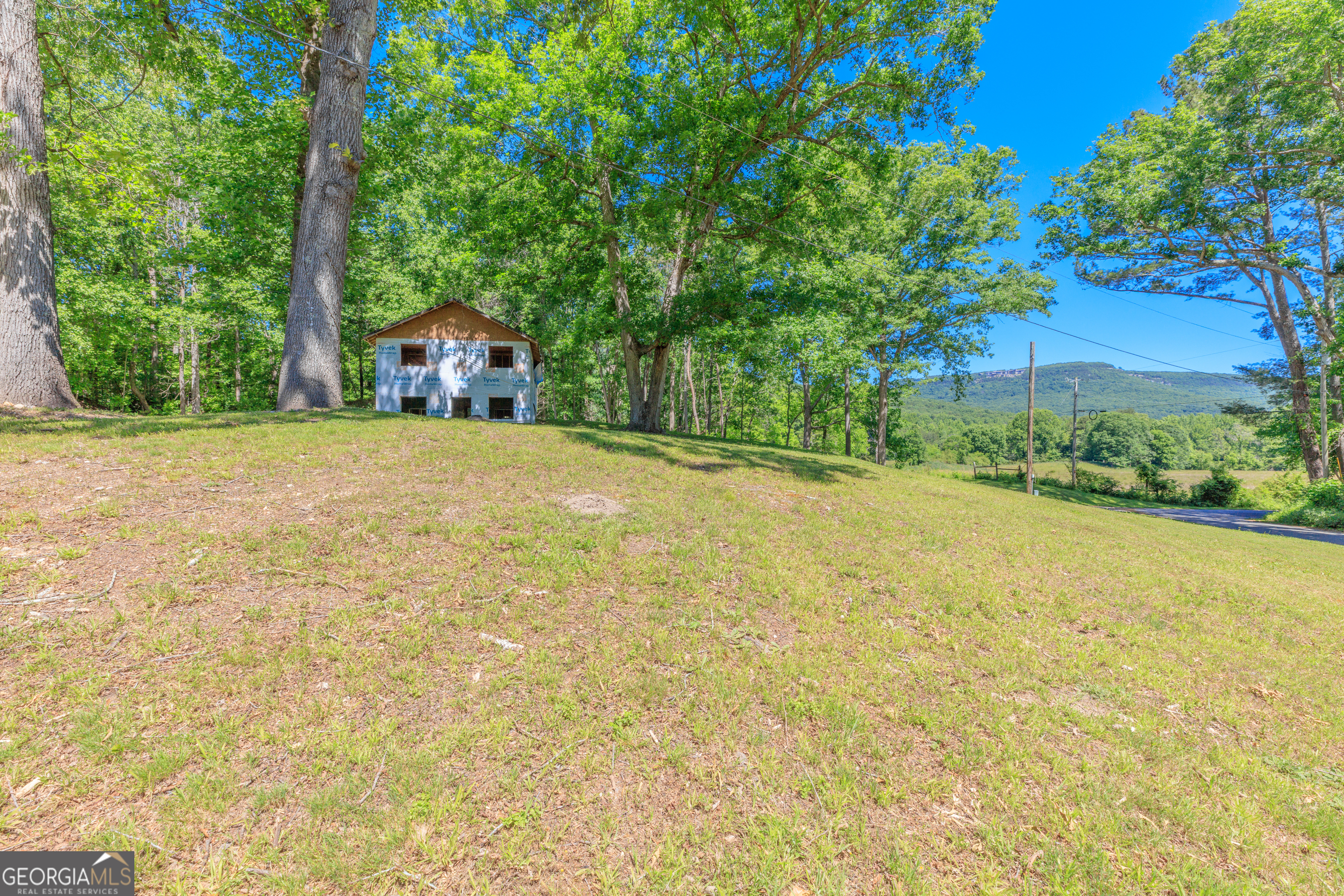 1004 Crow Gap Road Chickamauga, GA 30707 - Photo 35 of 36 a house with a yard