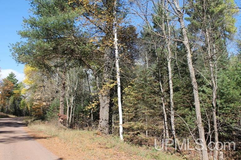 Tbd Missouri Rd - Co Rd 565, Unit LAT 46 31633 LON 87 5822 Gwinn, MI 49841 - Photo 18 of 30