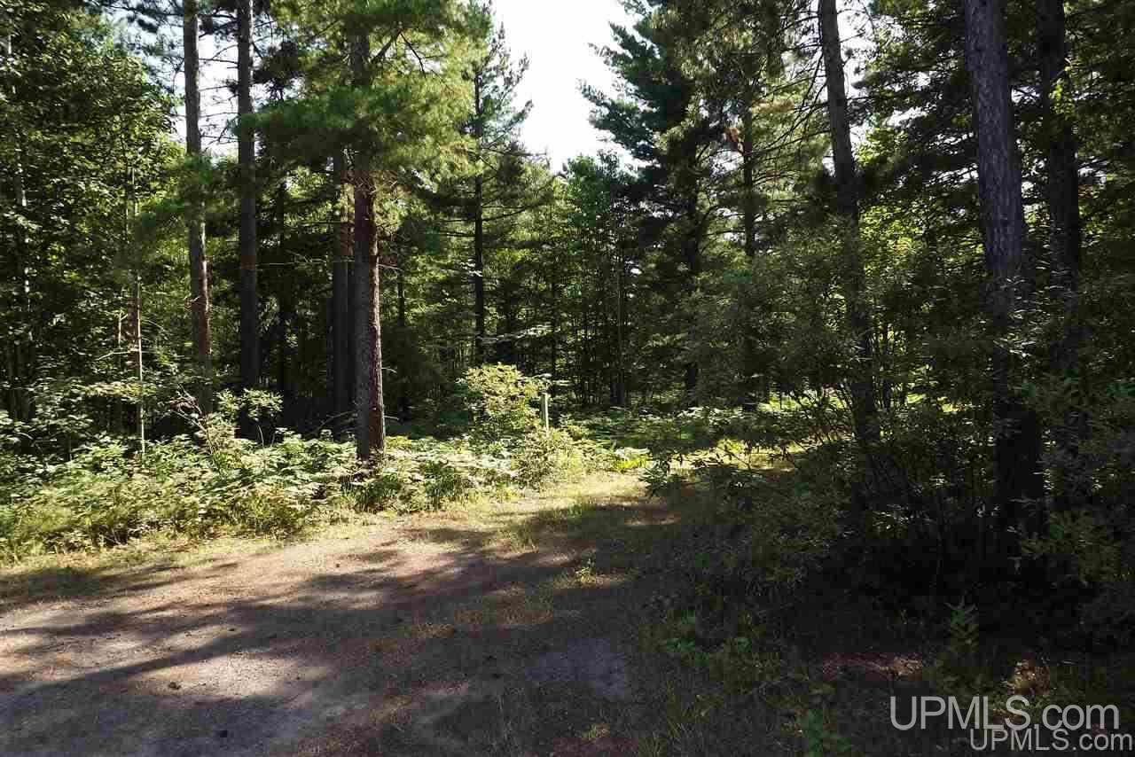 Tbd Rice Lake Road, Unit 3 Lake Linden, MI 49945 - Photo 16 of 16 Gallery Image 16