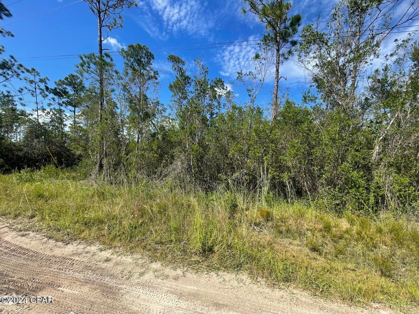 0 Plum Nearly Road Fountain, FL 32438 - Photo 3 of 7