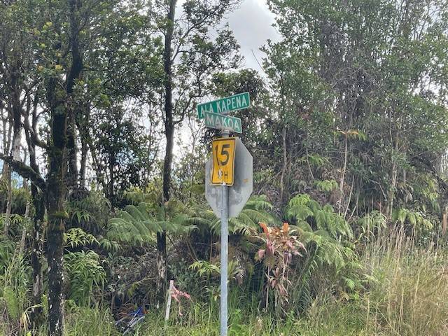 71 Makoa Road Pahoa, HI 96778 - Photo 4 of 4 Gallery Image 4