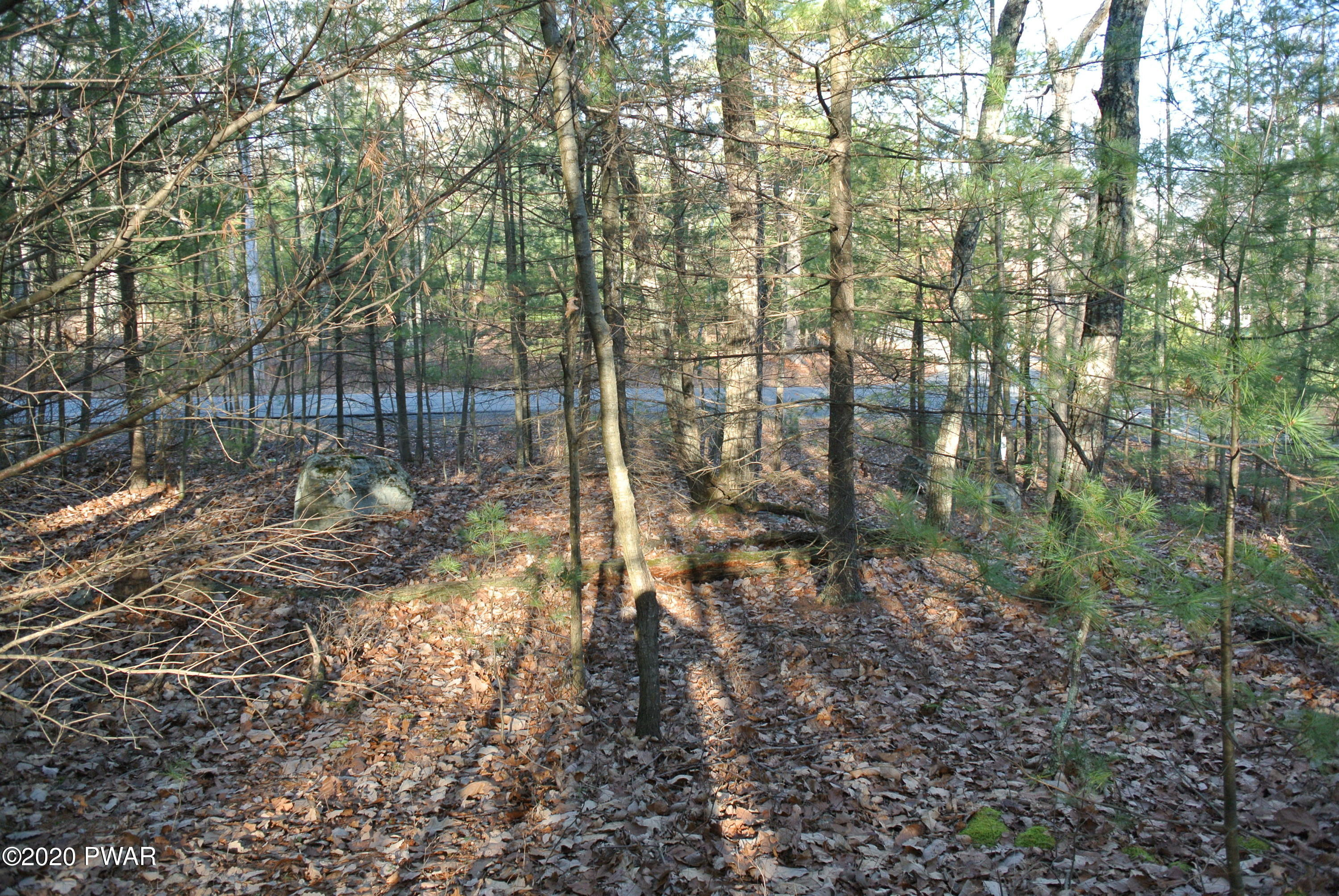 Lot 139 Pitch Pine Road Dingmans Ferry, PA 18328 - Photo 3 of 4