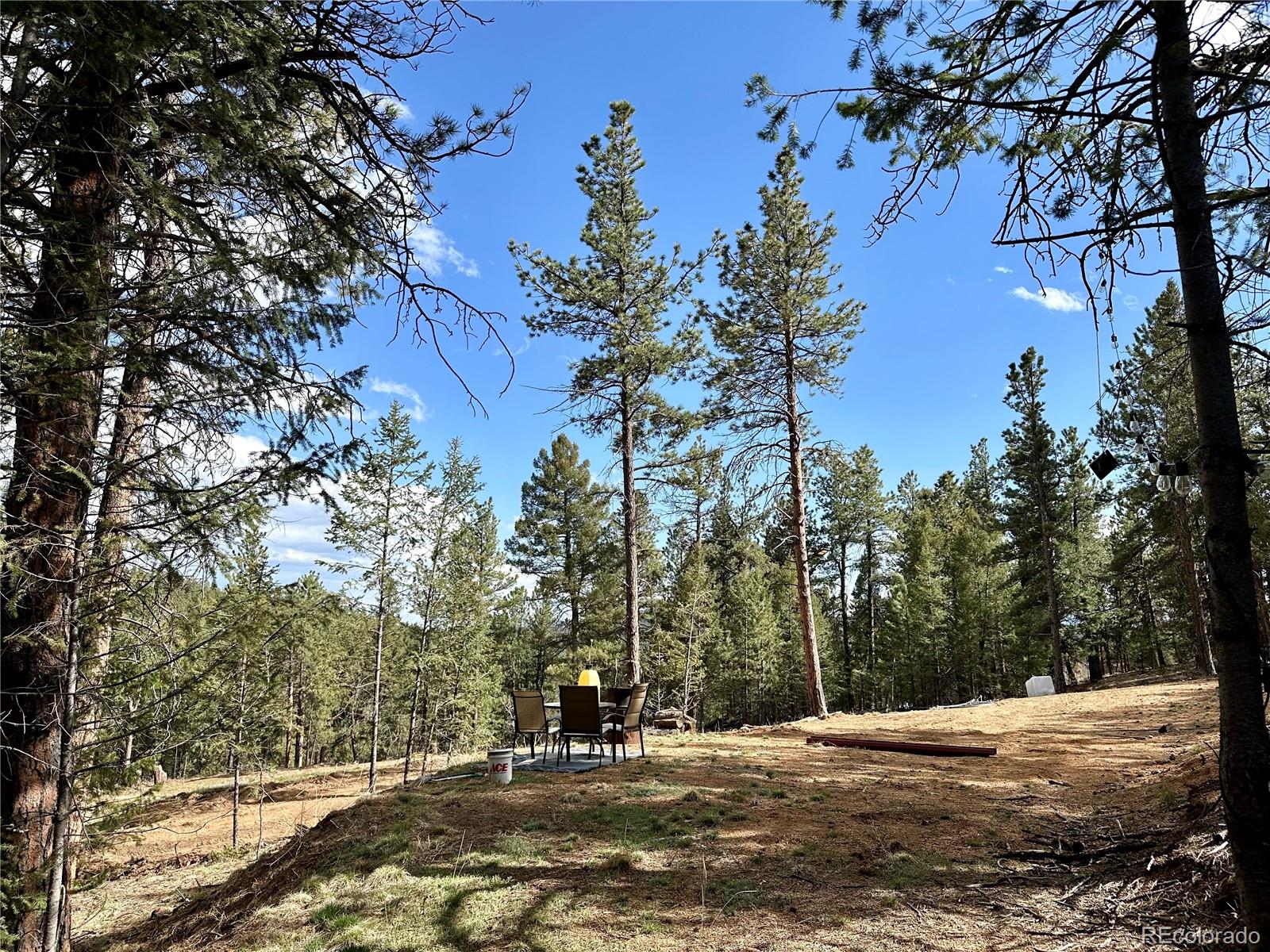87 Rd C Pine, CO 80470 - Photo 16 of 28 Gallery Image 16