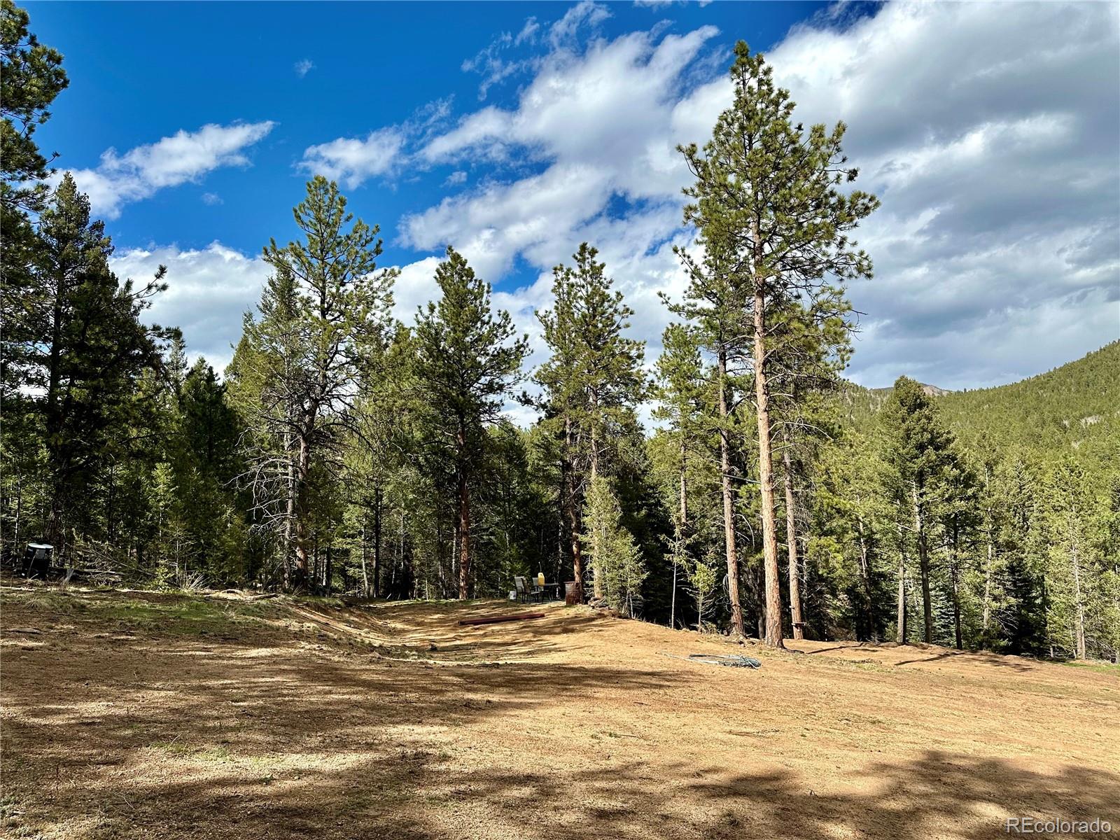 87 Rd C Pine, CO 80470 - Photo 18 of 28 Gallery Image 18
