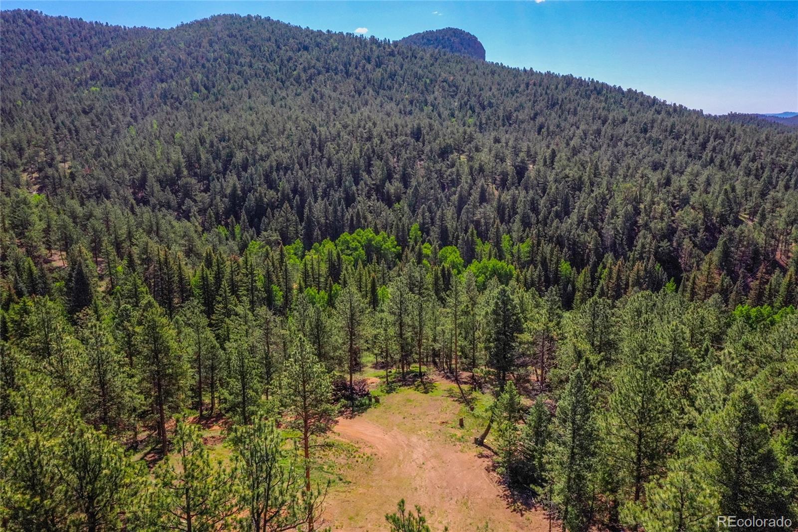87 Rd C Pine, CO 80470 - Photo 23 of 28 Gallery Image 23