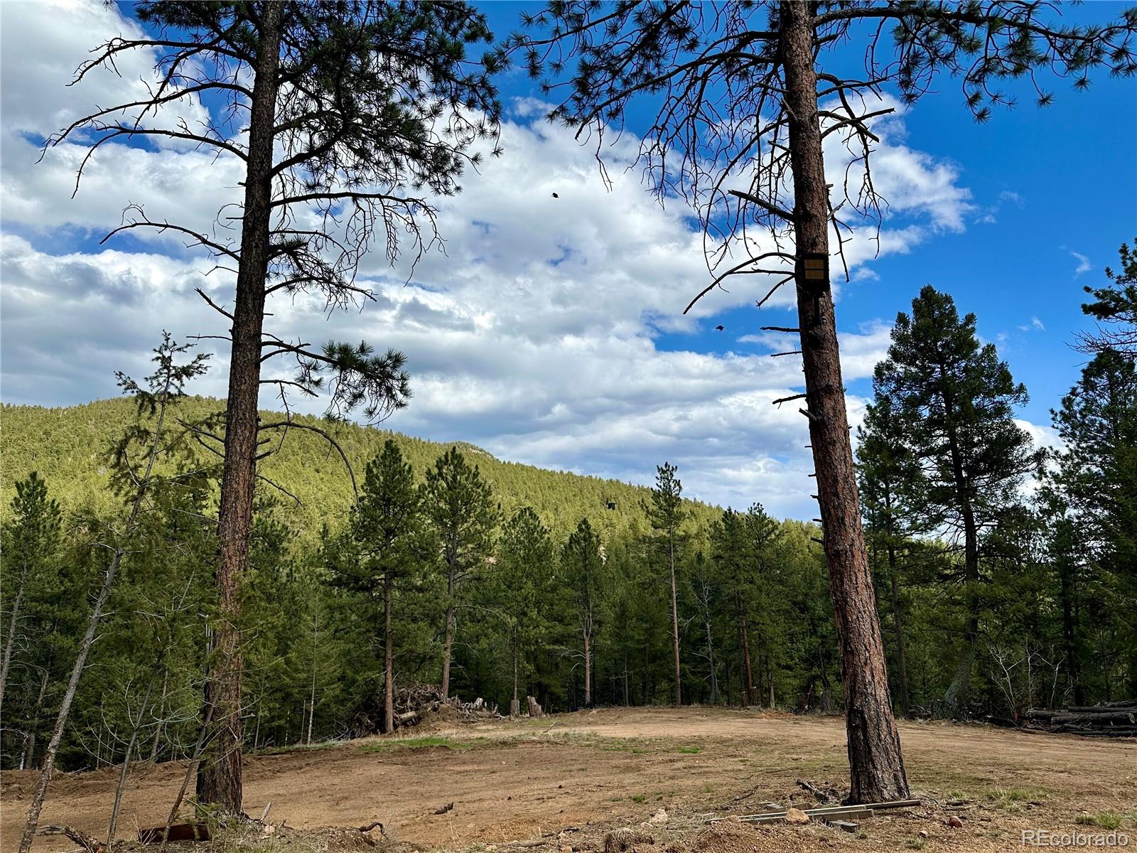 87 Rd C Pine, CO 80470 - Photo 3 of 28 Gallery Image 3