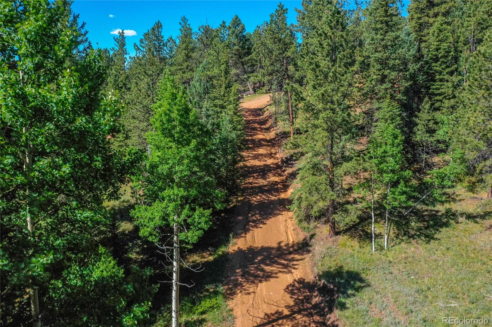 87 Rd C Pine, CO 80470 - Photo 4 of 28 Gallery Image 4
