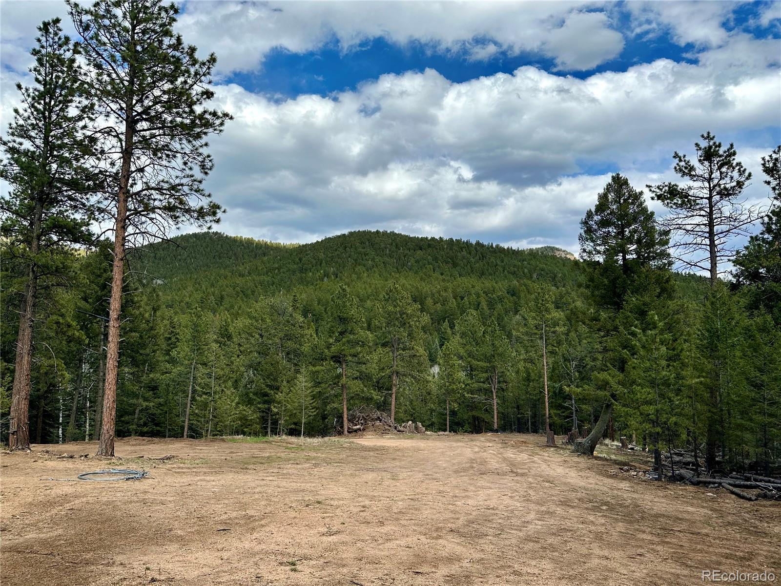 87 Rd C Pine, CO 80470 - Photo 10 of 28 Gallery Image 10
