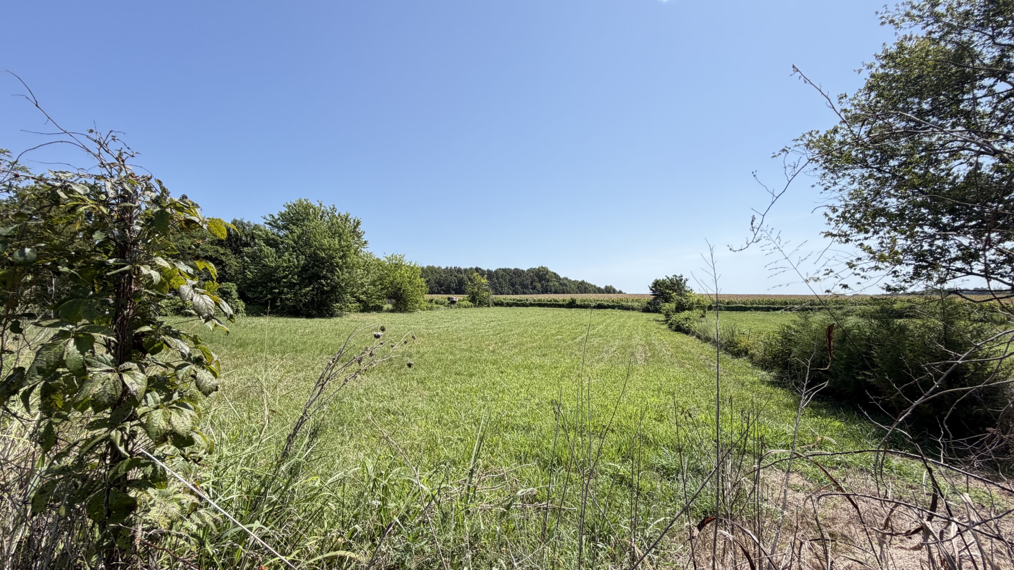 5901 Payne Road Portland, TN 37148 - Photo 24 of 26 Gallery Image 24