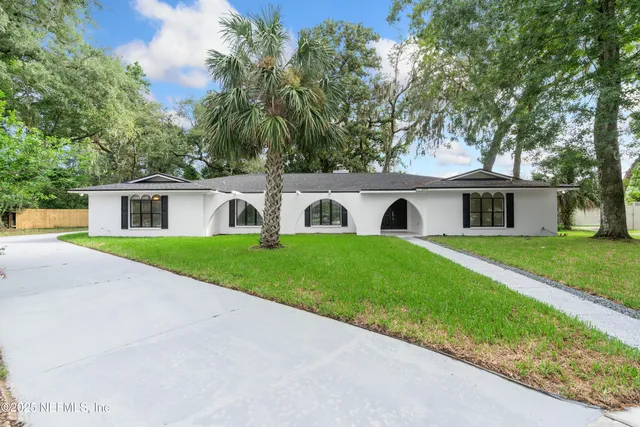 a view of a yard with plants and large trees