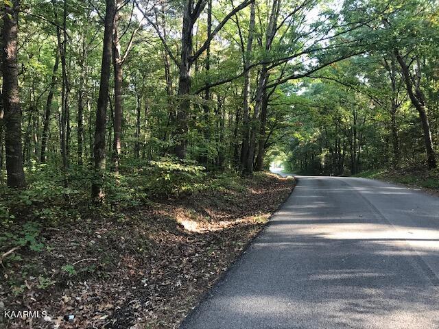 Lot 10 Mountain View Road Benton, TN 37307 - Photo 1 of 8 lot 10 mtn view from lot 9