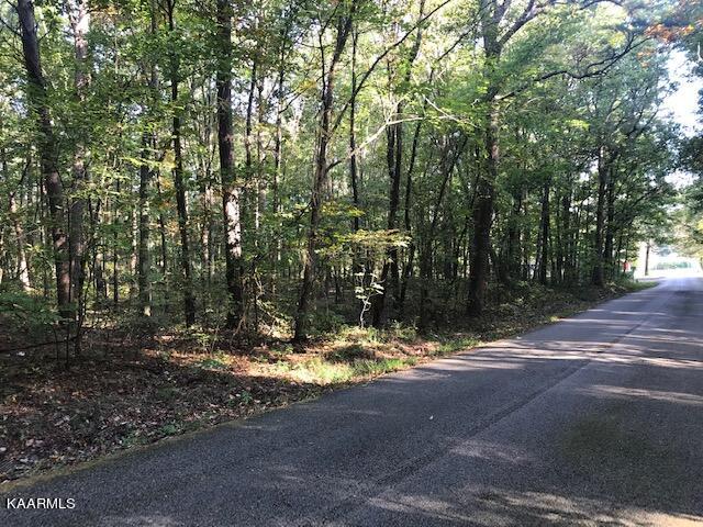 Lot 10 Mountain View Road Benton, TN 37307 - Photo 3 of 8 lot 10 mtn view roadfront to corner