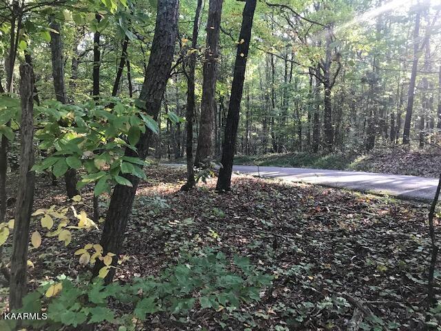 Lot 10 Mountain View Road Benton, TN 37307 - Photo 4 of 8 lot 10 mtn view 6
