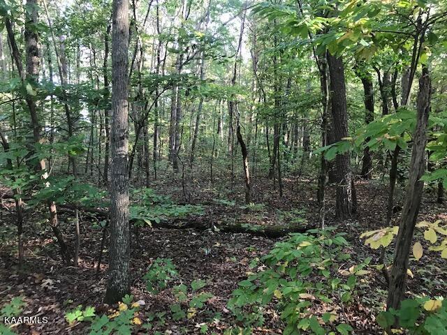 Lot 10 Mountain View Road Benton, TN 37307 - Photo 5 of 8 lot 10 mtn view 5